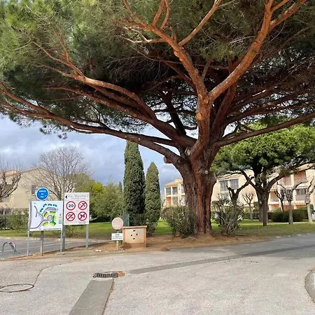 T2 Jardin Proche Plages דירה
